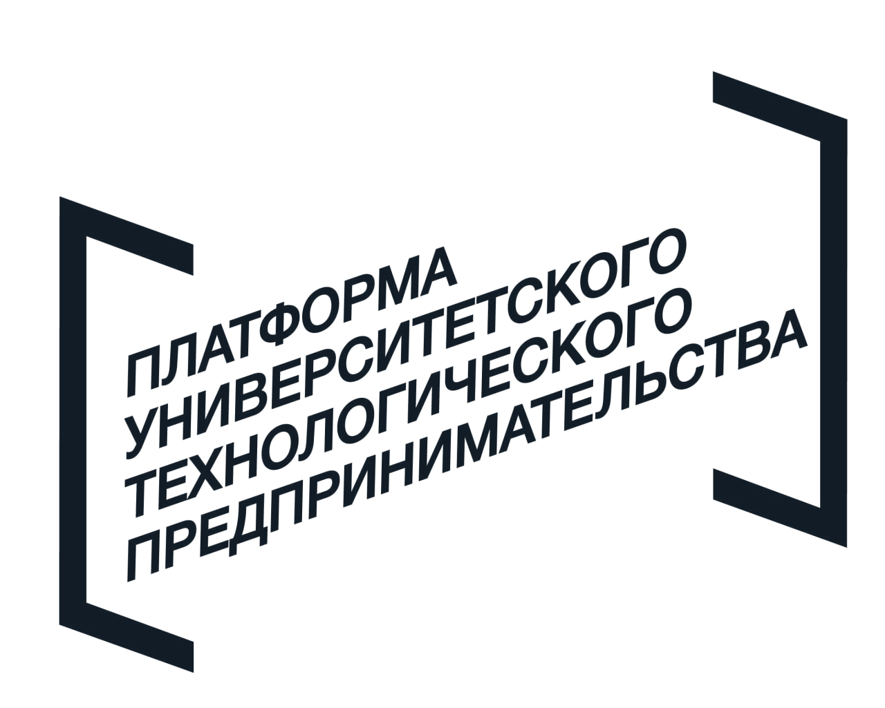 Платформа университетского технологического предпринимательства